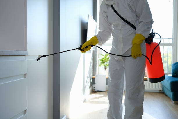 Best Bathroom Mold Remediation in Marlton, NJ